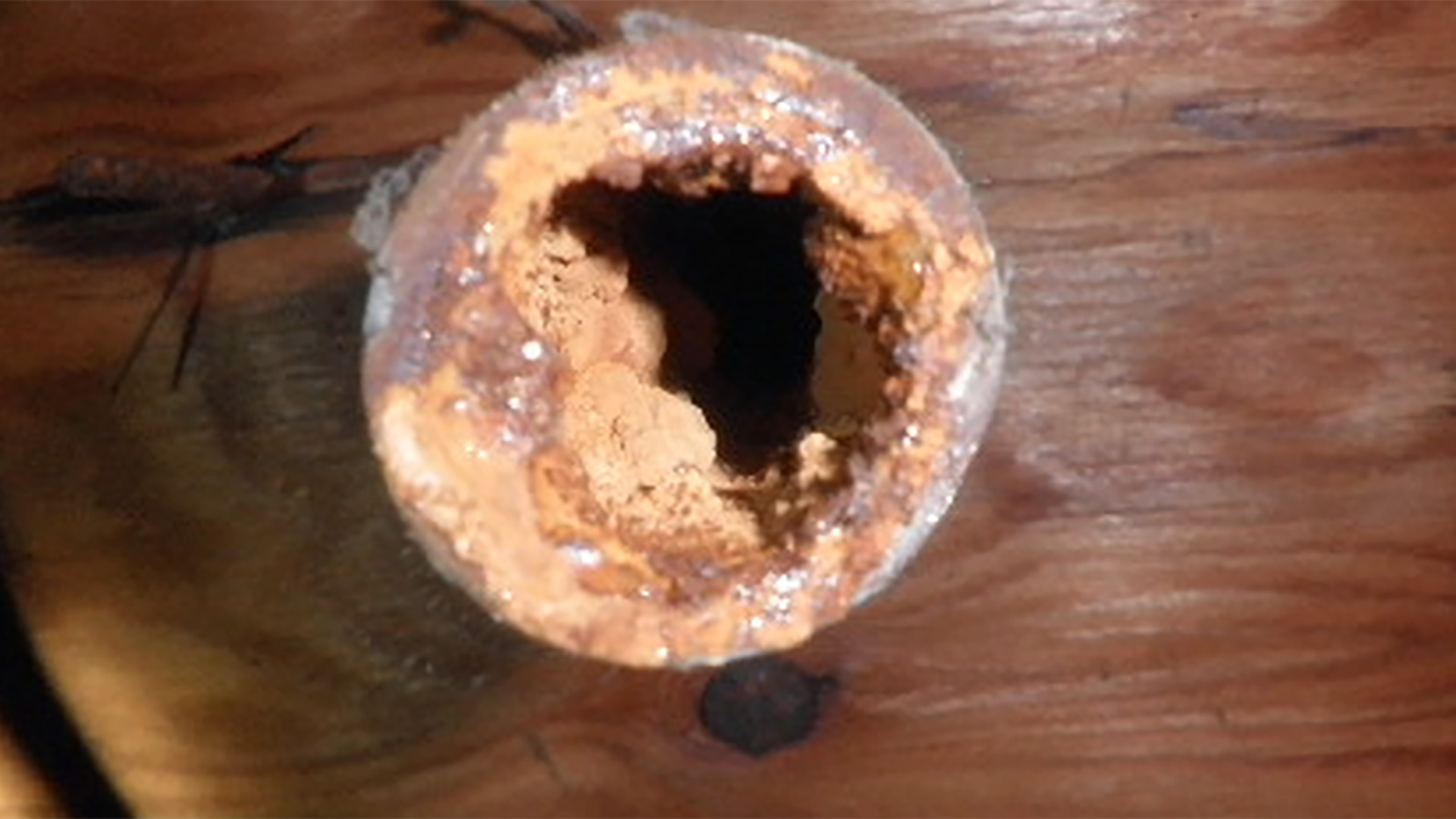 water pipe with mold clarkston mi